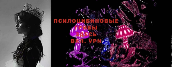 ПСИЛОЦИБИНОВЫЕ ГРИБЫ Саяногорск