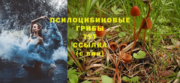 СК Верхний Тагил
